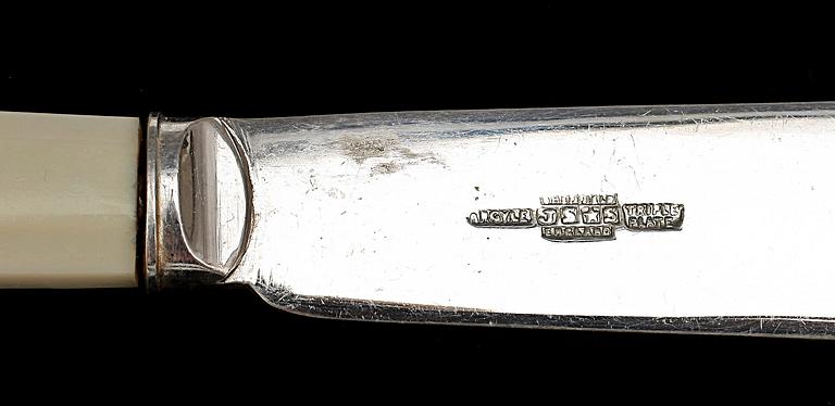 FISKBESTICK, 24 delar, pläter, Sheffield, England 1900-tal.