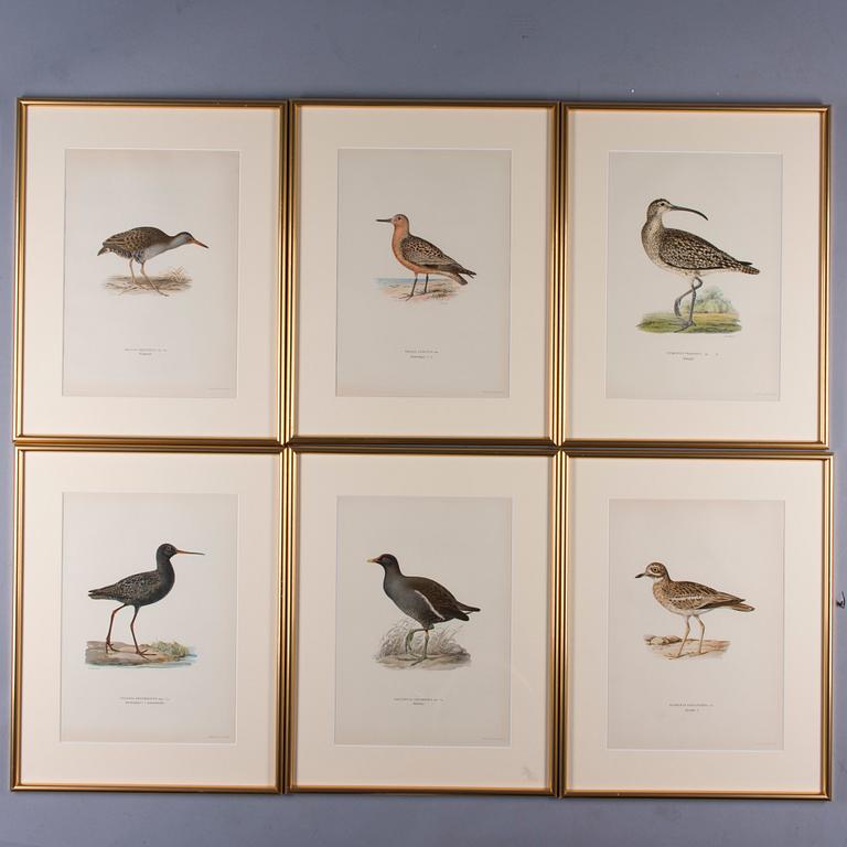 LITOGRAFIER, 6 st, efter von Wright, A. Börtzell, Stockholm.