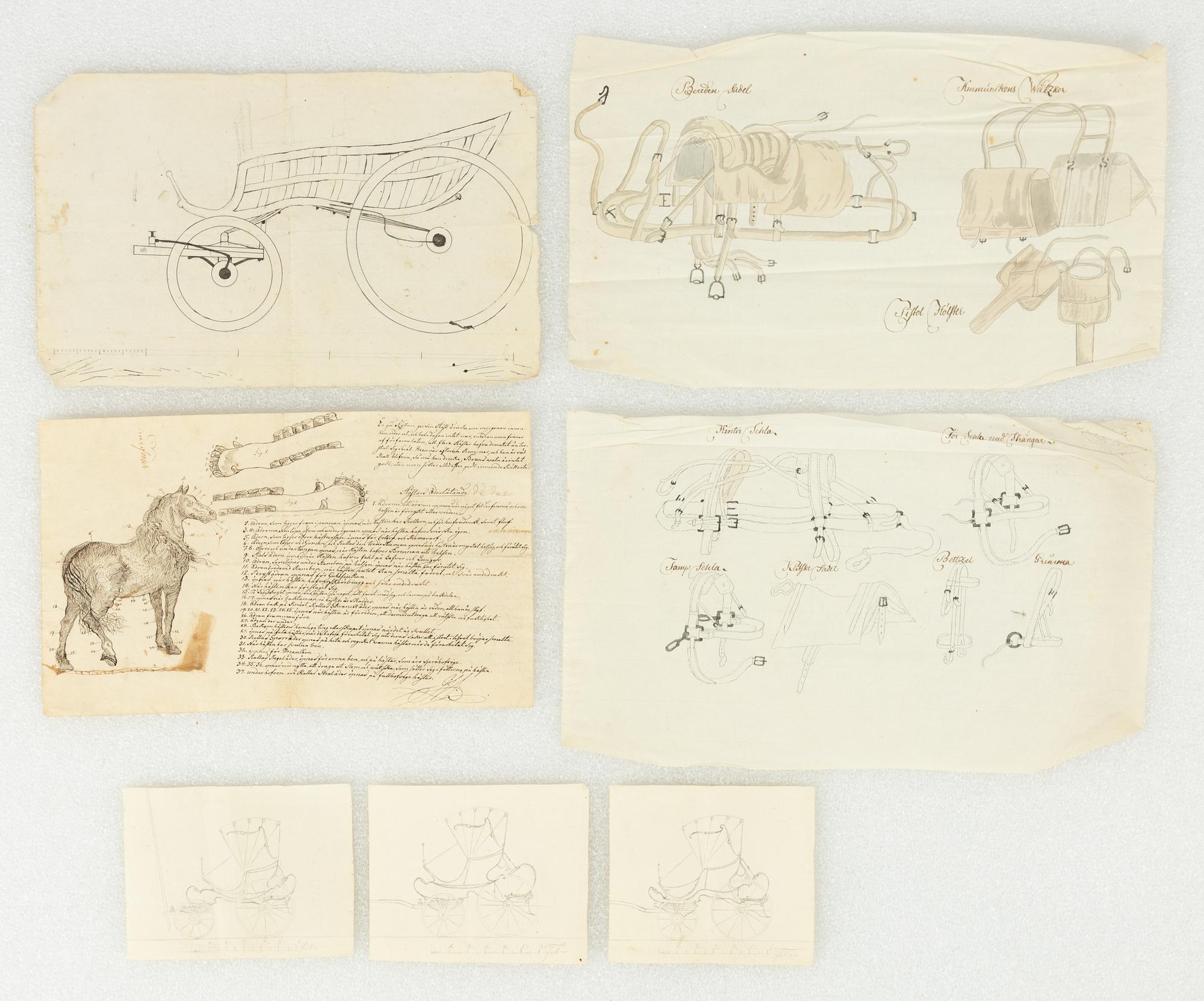 Anatomical study of a horse and drawings of a carriage, saddle, and bridle, 7 pieces, 17th/18th century.