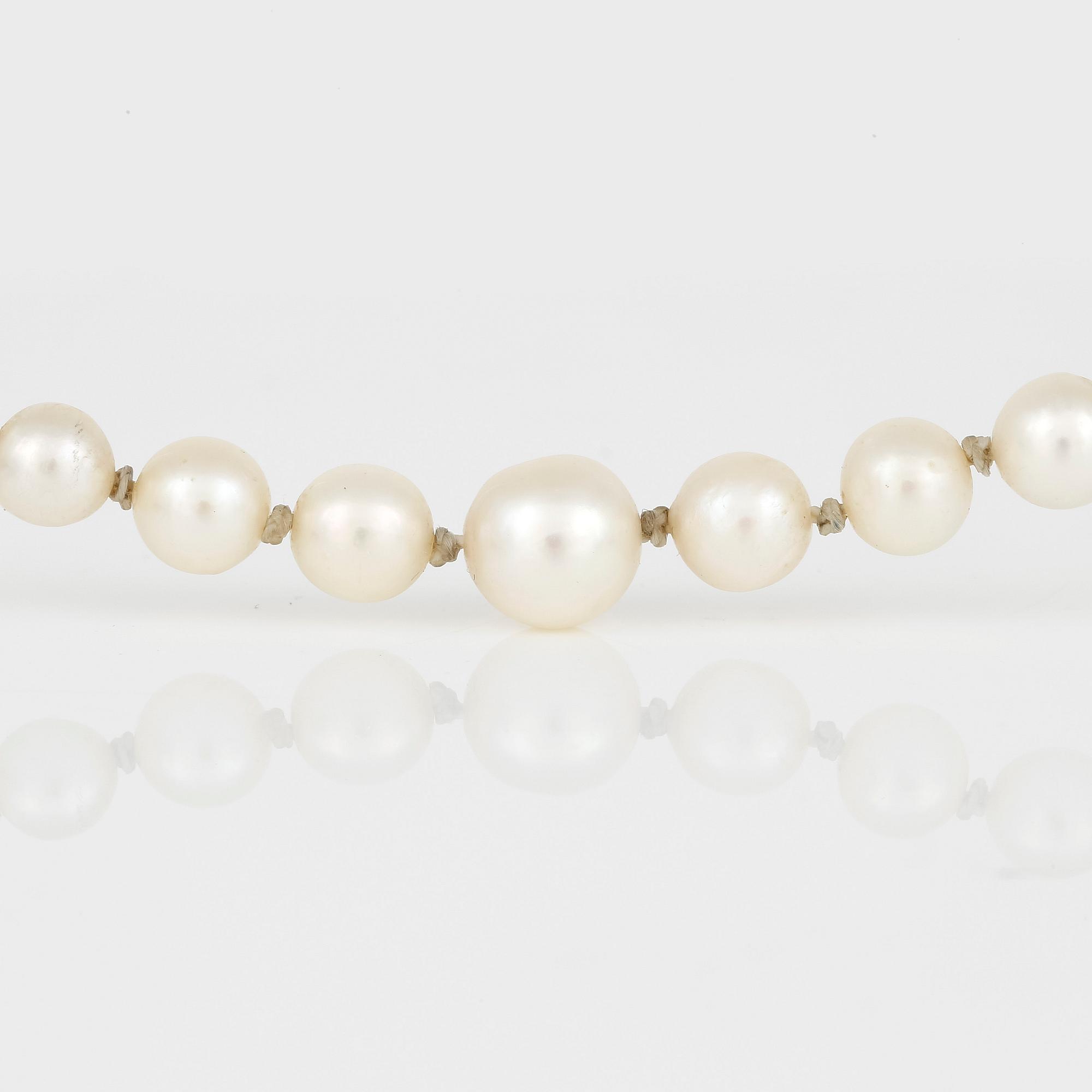 HALSBAND, med odlade pärlor och silverlås.