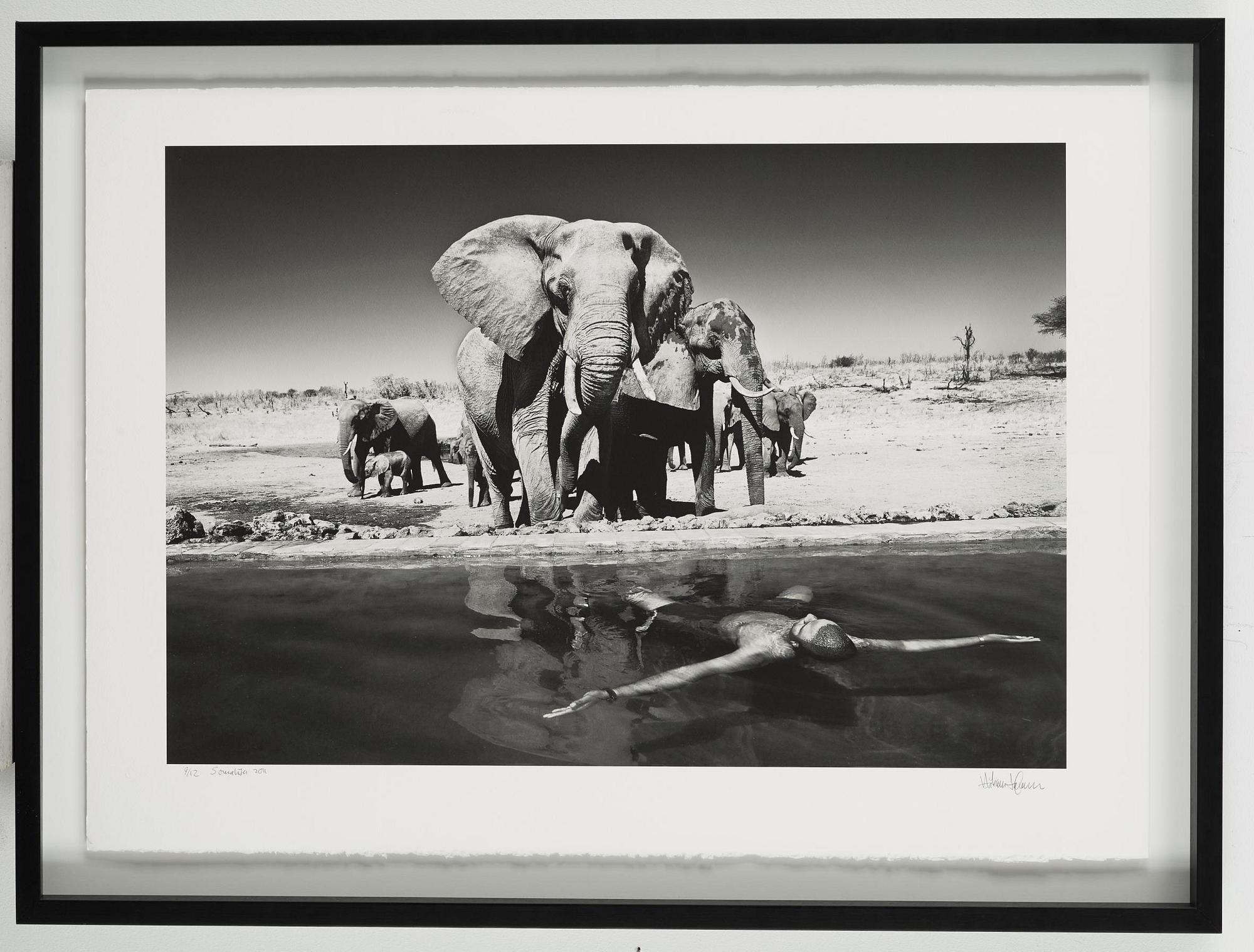 HÅKAN LUDWIGSON, photography signed Håkan Ludwigsson and dated Somalisa 2011 and numbered 9/12.