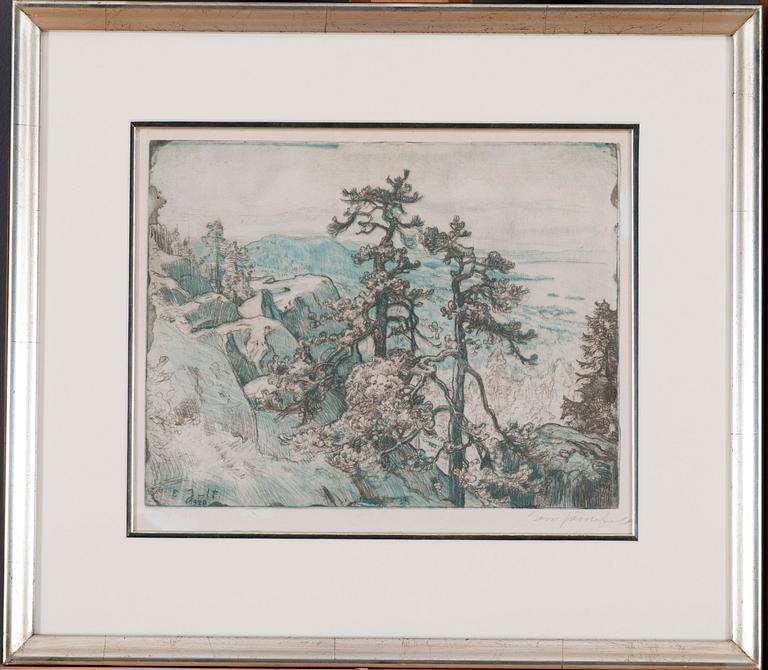 Eero Järnefelt, VIEW OVER KOLI.