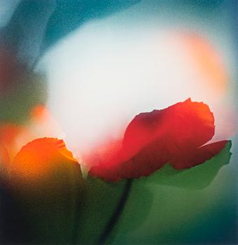 MARJA PIRILÄ, pigment print on Hahnemüle paper, signed, numbered 4/30 and dated 2010.