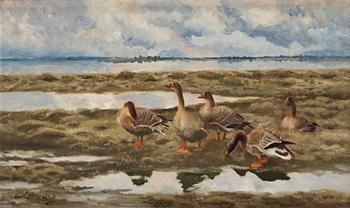 666. Bruno Liljefors, Landscape with geese.