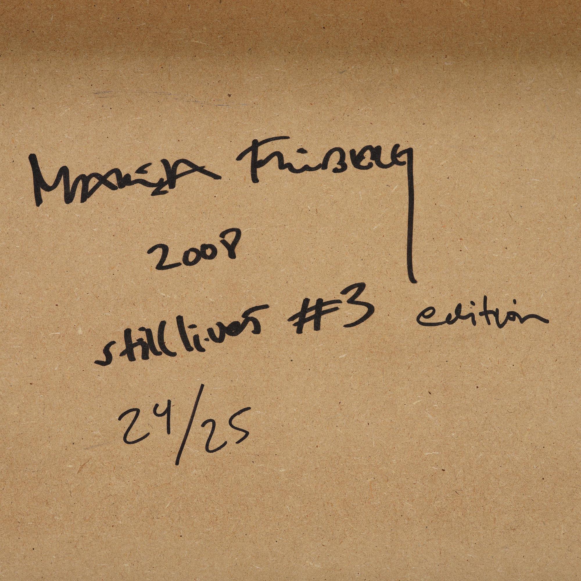 Maria Friberg, "Still Lives #3", 2004.