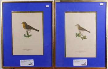 WRIGHT, VON WILHELM, färglitografier, 2 st; samt 2 st av annan konstnär.