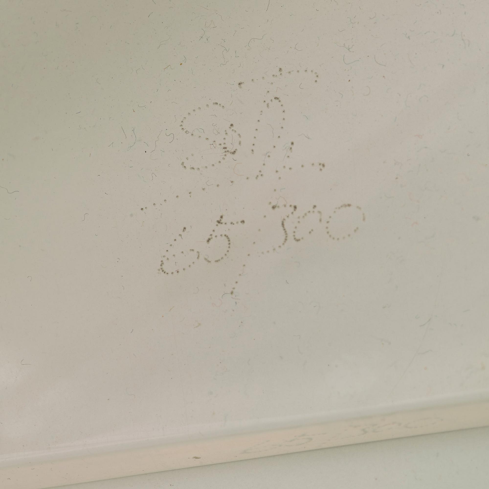 Jesús Rafael Soto, Untitled (from the Jai-Alai series).