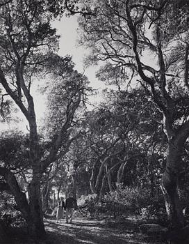 215. Ansel Adams, "Mr. and Mrs. William E. Colby, Big Sur, California 1956".