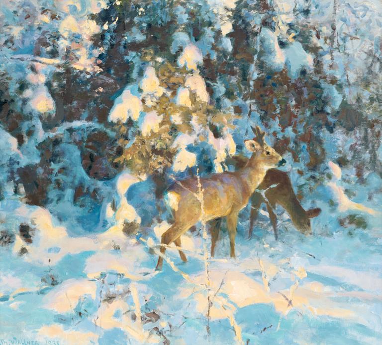 Thure Wallner, Roe deer in snowy forest.