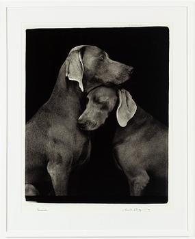 William Wegman, archival pigment print, 2009, signerat. Numrerat 257/1500 a tergo.