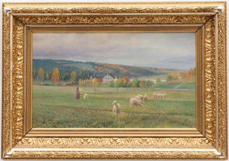 Anshelm Schultzberg, Grazing Sheep, Dalarna.