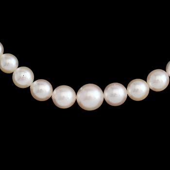 PÄRLCOLLIER, odlade pärlor.