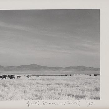 Pentti Sammallahti, "Siperiasta, 1997".