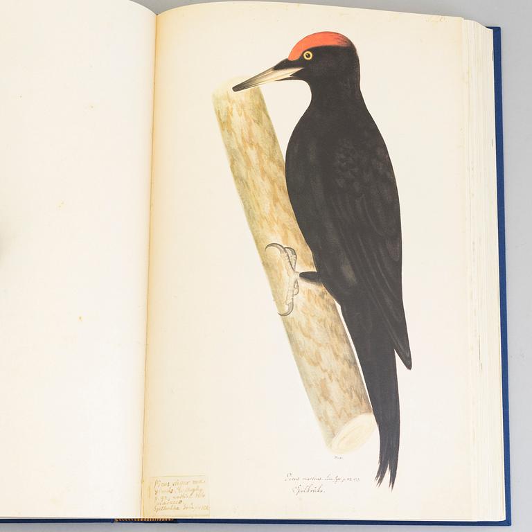 Olof Rudbeck the younger, a portfolio and two books, 1985. Numbered 574/1499. 14 litographs in color are included.