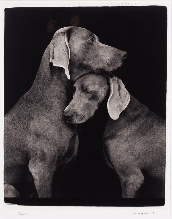 William Wegman, "Friends".