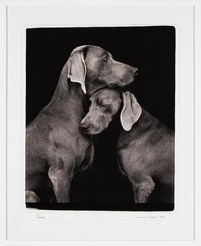 William Wegman, fotografi, 2009, signerad. Numrerad 456/1500 a tergo.