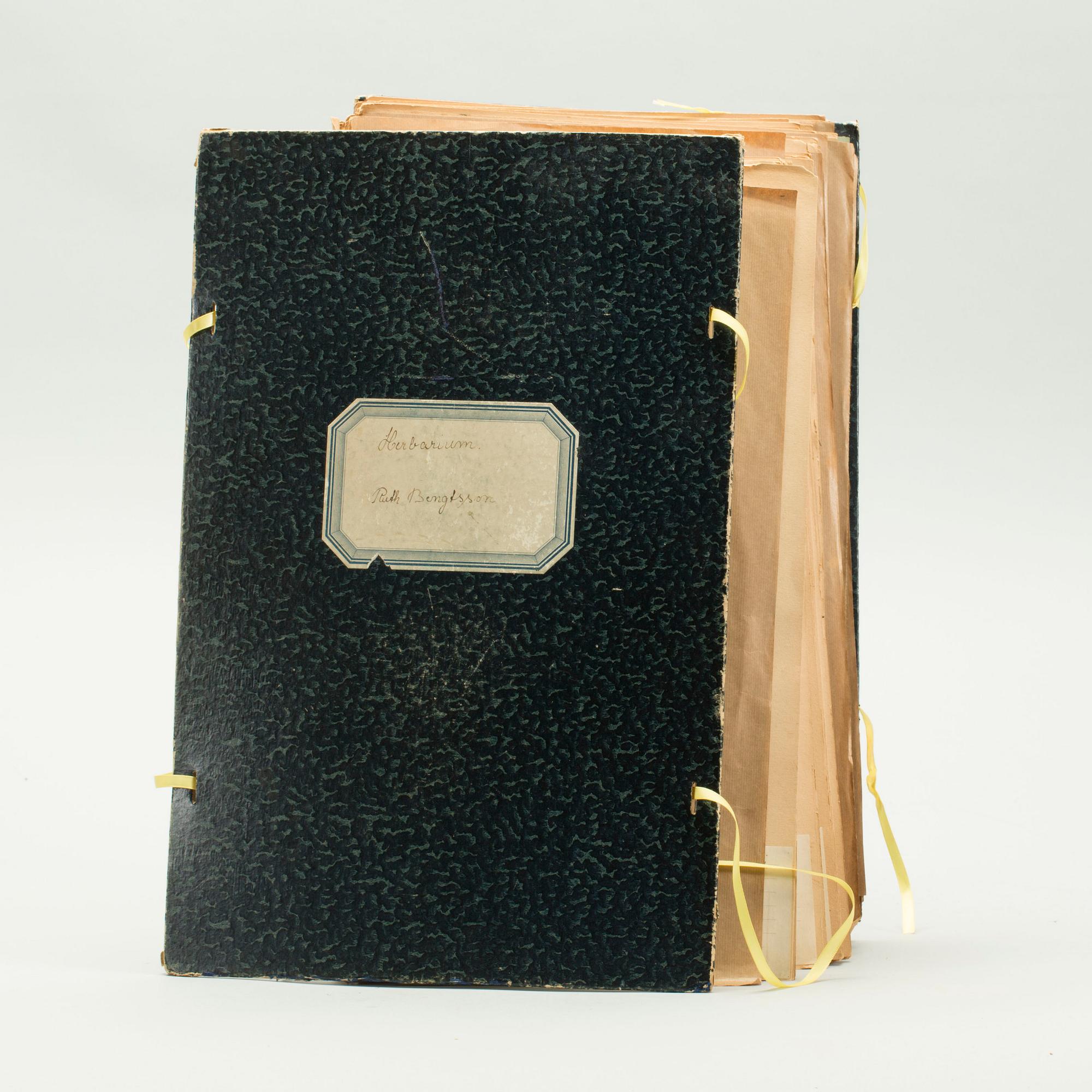 HERBARIUM, 1926-1928.