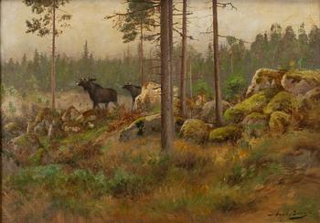 Axel Borg, Moose at a Clear-Cut Logging Site.