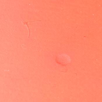 ALVAR AALTO, PÖYTÄ, 1960/70-luku ja TUOLIA, 4 kpl malli 69, Artek, 2000-luku.