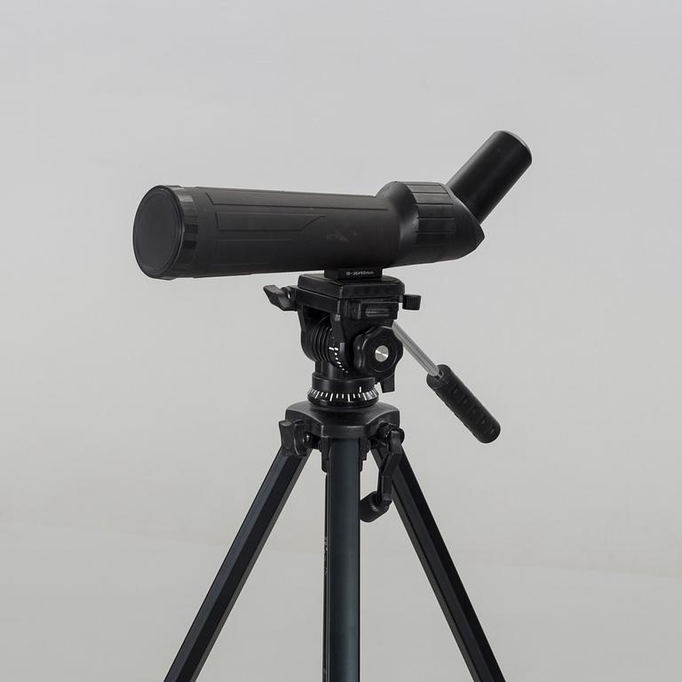 Tubkikare Zenith.