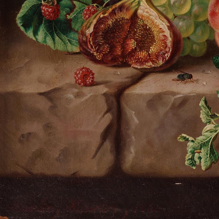 Amalie Kärcher, Still life with plums, figs, grapes, and insects.