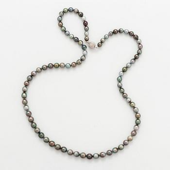 Collier odlade Tahiti-pärlor.