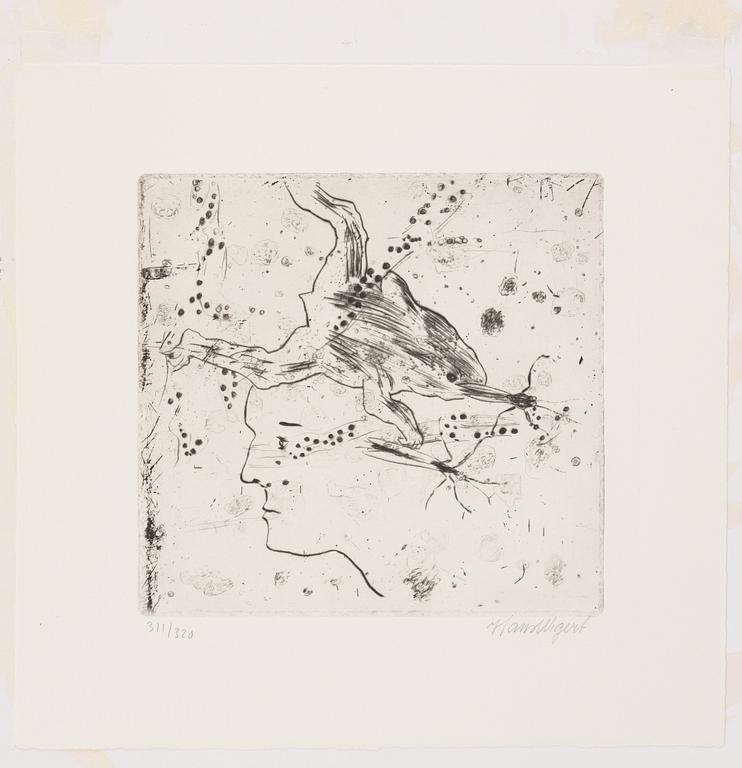 Hans Wigert, Grodgölen.