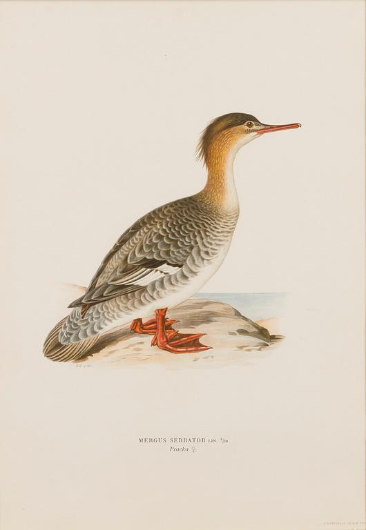 LITHOGRAPHS, 5 pcs, after Wilhelm von Wright and Bror Hallberg. A. Börtzell, Stockholm.