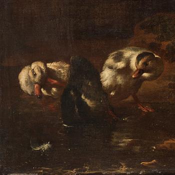 Melchior de Hondecoeter Tillskriven, Andfamilj vid vattenbryn.