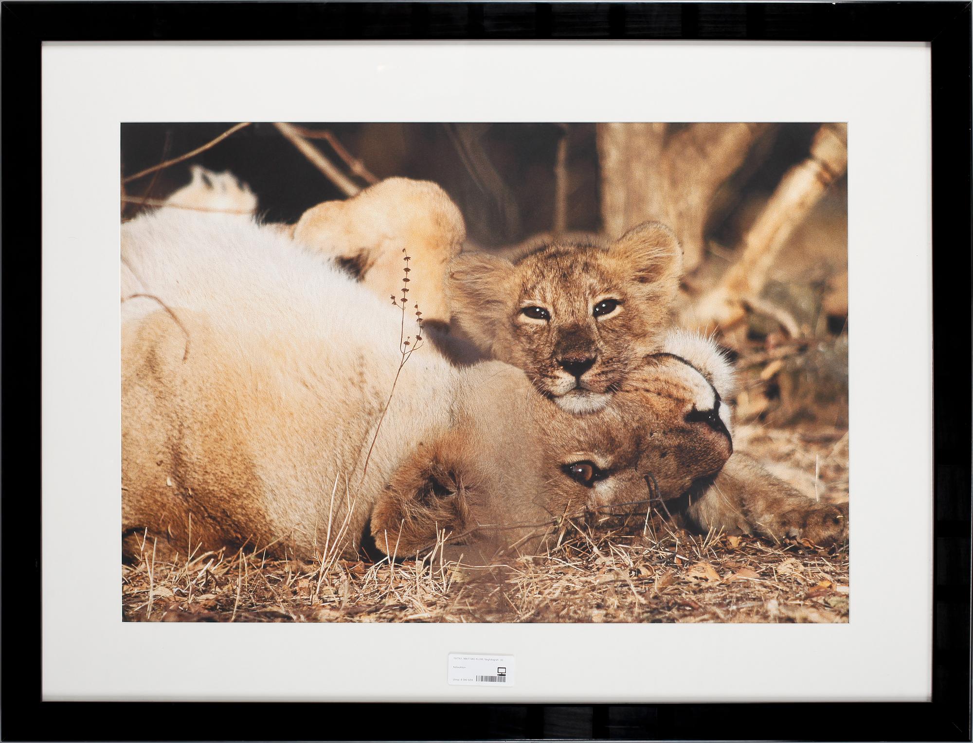 MATTIAS KLUM, färgfotografi.