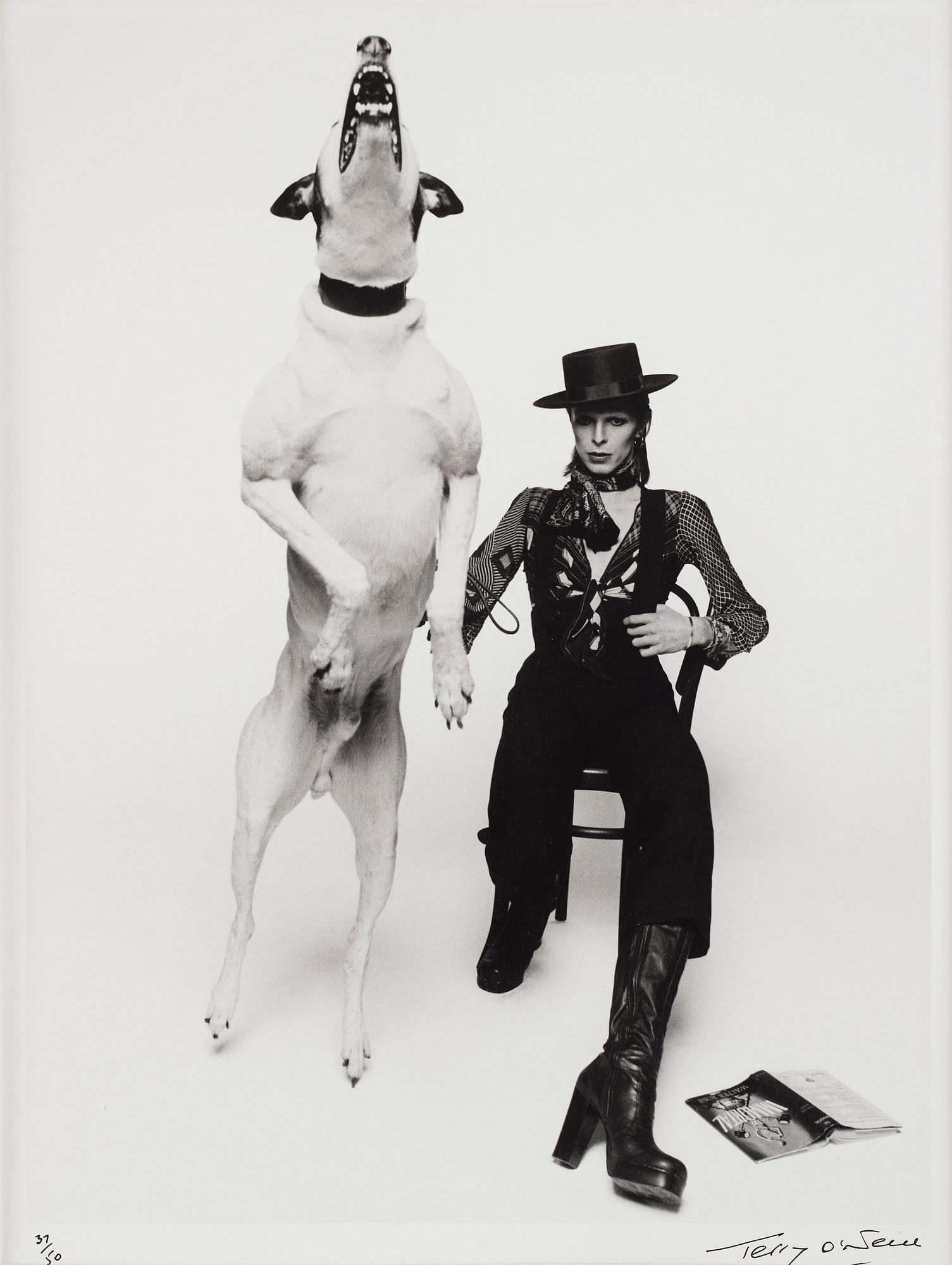 Terry O'Neill, 'David Bowie - Diamond Dogs, 1974'.