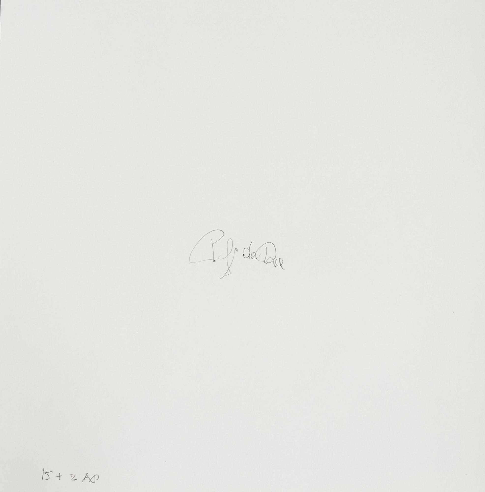 Peter de Rue,  "Shiba (Japansk spets)", 2004.