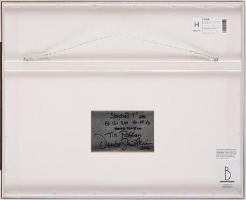 Denise Grünstein, "Skepnad", 2015.