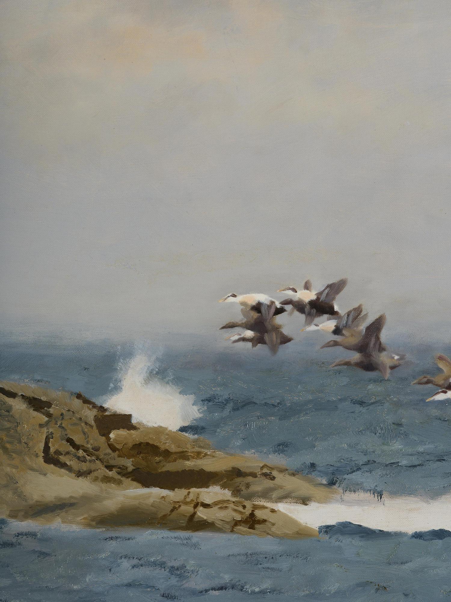 Bruno Liljefors, Stretching eiders.
