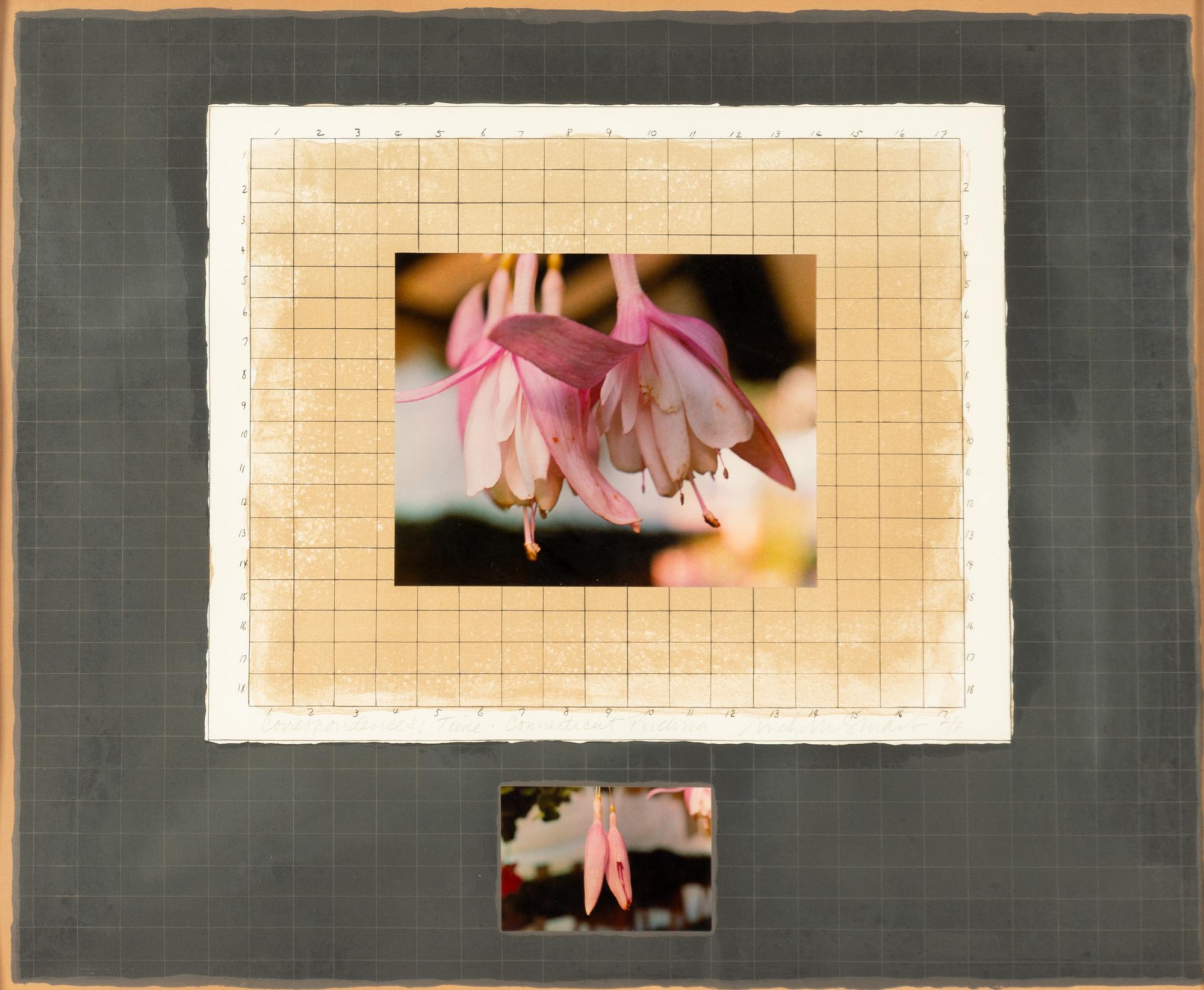 Michelle Stuart,"Correspondences: Time, Connecticut Fuchsia".