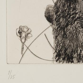 Linn Fernström, "Flygande pojke".