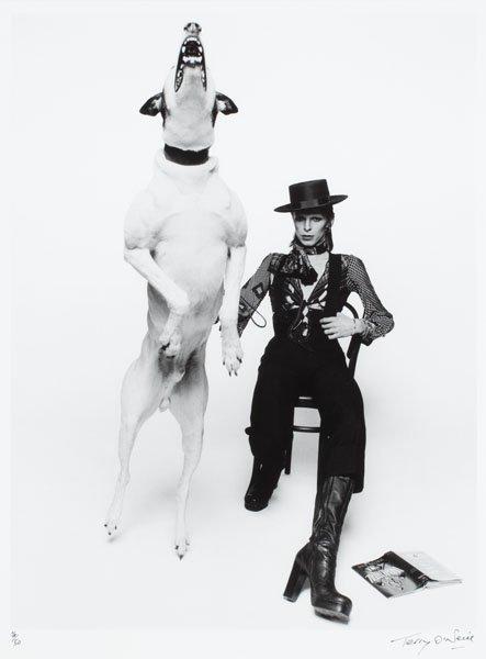 Terry O'Neill, Diamond dogs.