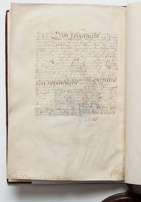 LETTER OF PEERAGE for the noble family von Löwenheim, nr 1408.