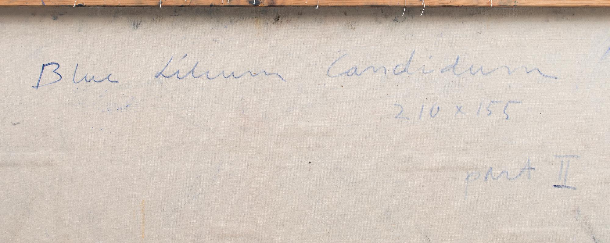 MARIKA MÄKELÄ, "BLUE LILIUM CANDIDUM".