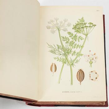 C.A.M Lindman, books, 3 volumes, "Bilder ur Nordens Flora",  Wahlström & Widstrand, 1922-1926.
