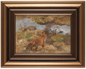 Bruno Liljefors, Räv på andjakt.