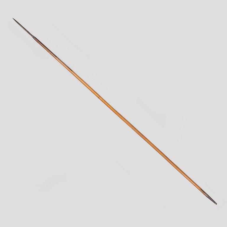 LANS, svensk, m/1851 för Livgardet till häst, stålskodd stång.