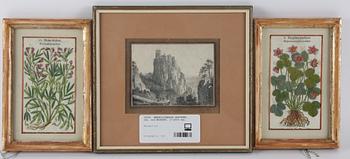 HANDKOLORERADE GRAVYRER, 2st, och KOPPARSTICK, 17/1800-tal.