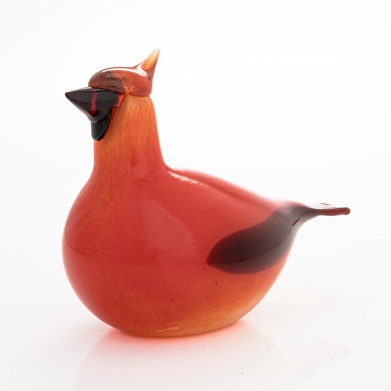 Oiva Toikka, lasilintu, "Kardinaali", signeerattu O. Toikka Iittala.