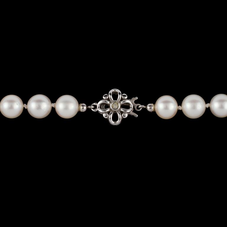 COLLIER, odlade pärlor, lås i sterlingsilver, utländska stämplar.