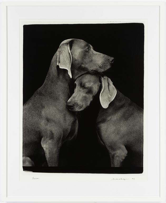 William Wegman, "Friends".