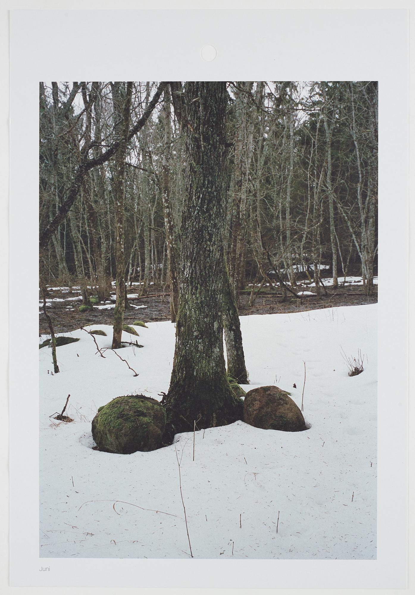 ANDREAS ERIKSSON, portfolio. Signed AE inside the box and numbered 18/250.