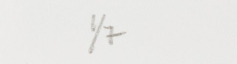 Dan Wolgers, fotogravyr, 2011, signerad 1/7.