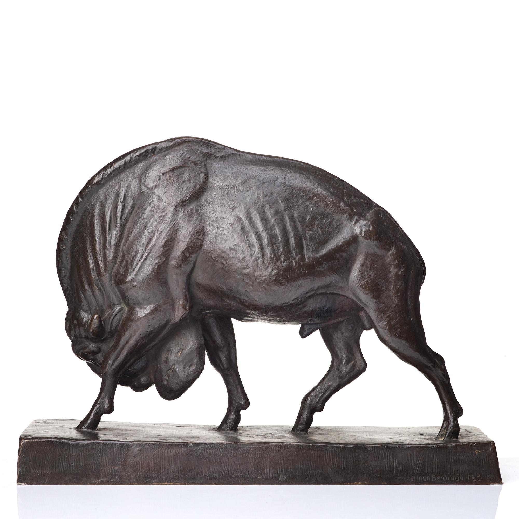 Arvid Knöppel, "Visent".