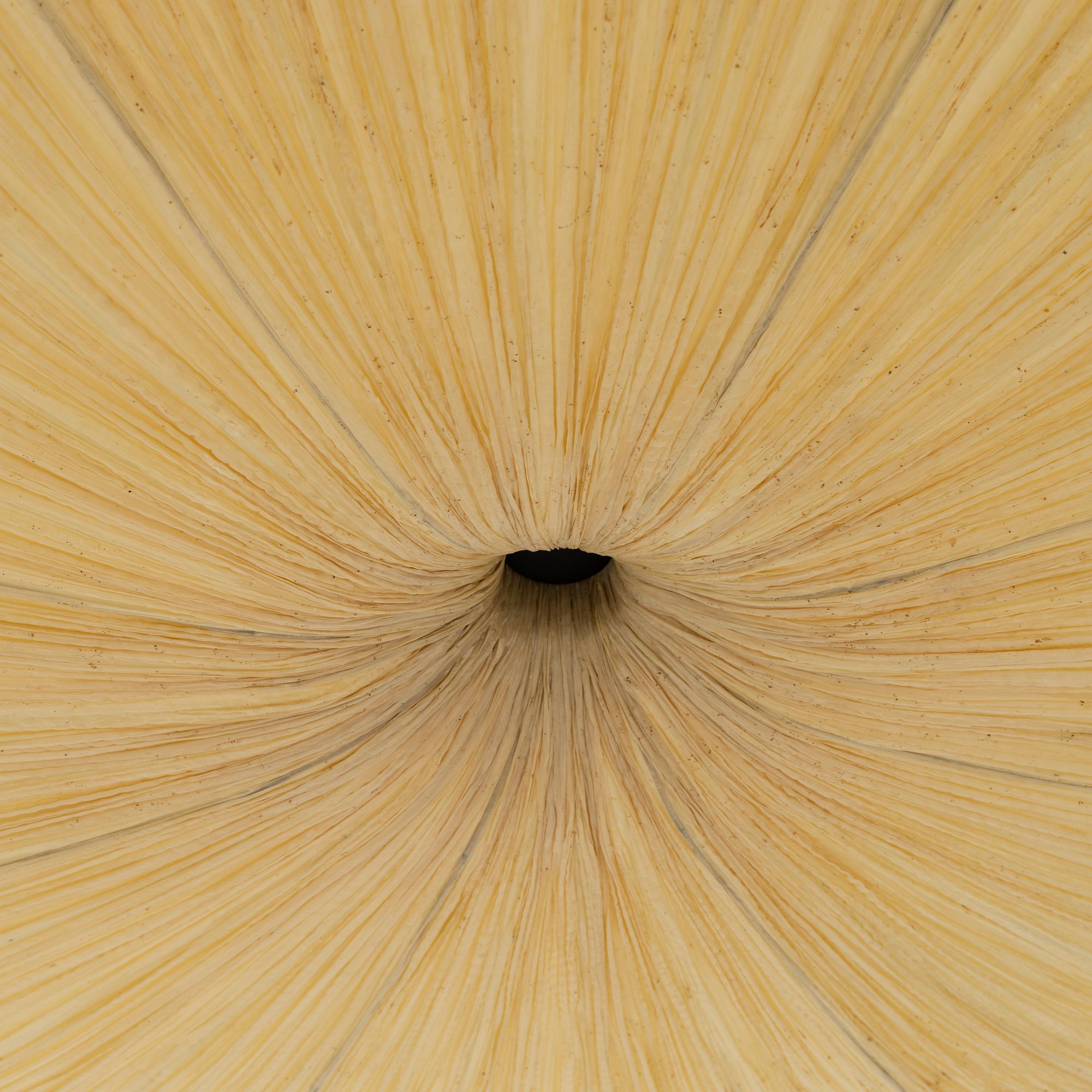 A ceiling light, later part of the 20th Century.